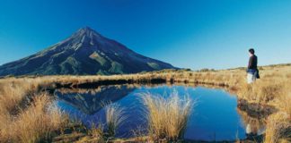 7 Off-The-Beaten-Track Reasons To Visit New Zealand New Zealand hot spots