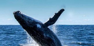 Sydney escapes: 10 great reasons for a winter weekend in Lake Macquarie
