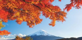 Japan beckons with assurances on safety and travel bookings